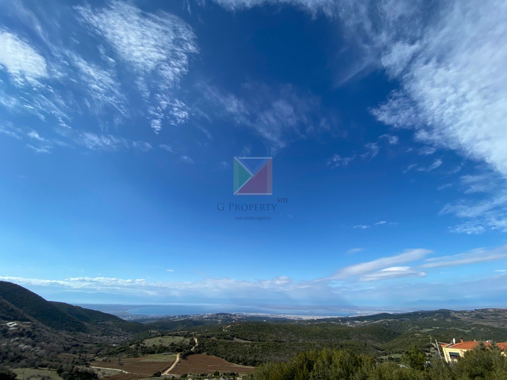 WhatsApp Image 2025-12-23 at 12.57.38 (1)