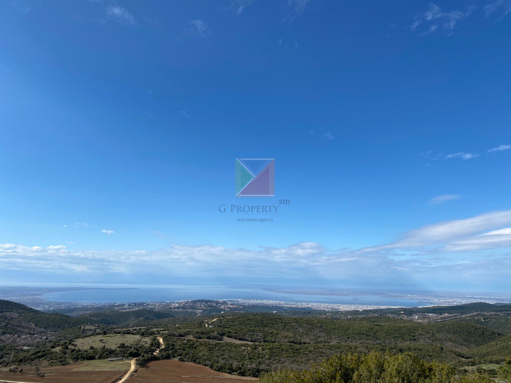 WhatsApp Image 2025-12-23 at 12.57.38 (2)