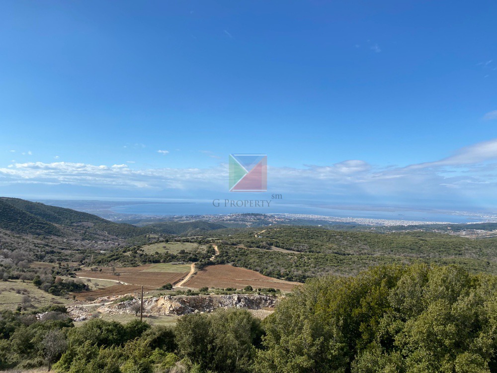 WhatsApp Image 2025-12-23 at 12.57.38