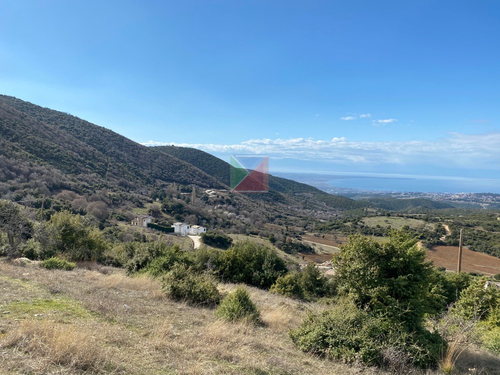 WhatsApp Image 2025-12-23 at 12.57.46 (1)