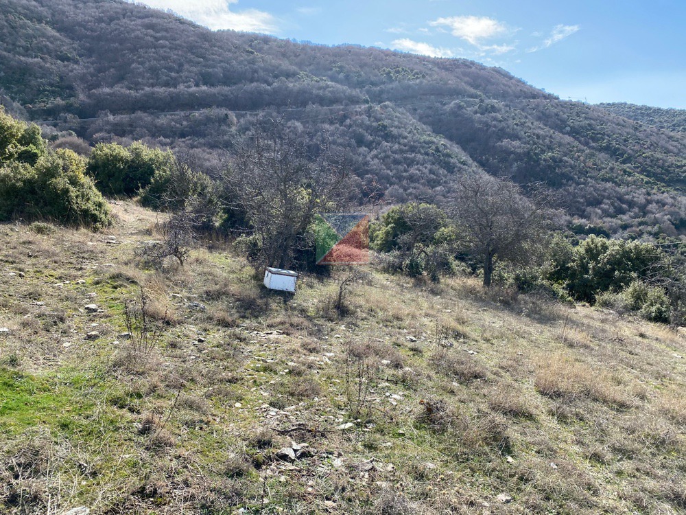 WhatsApp Image 2025-12-23 at 12.57.46 (2)