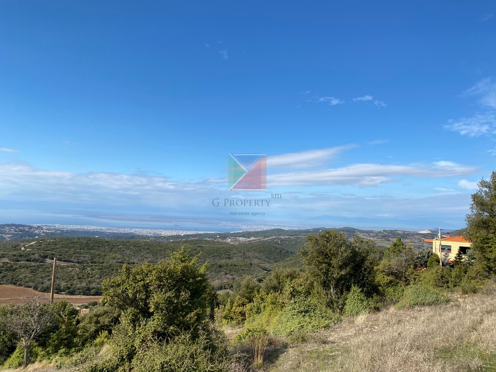 WhatsApp Image 2025-12-23 at 12.57.46 (3)