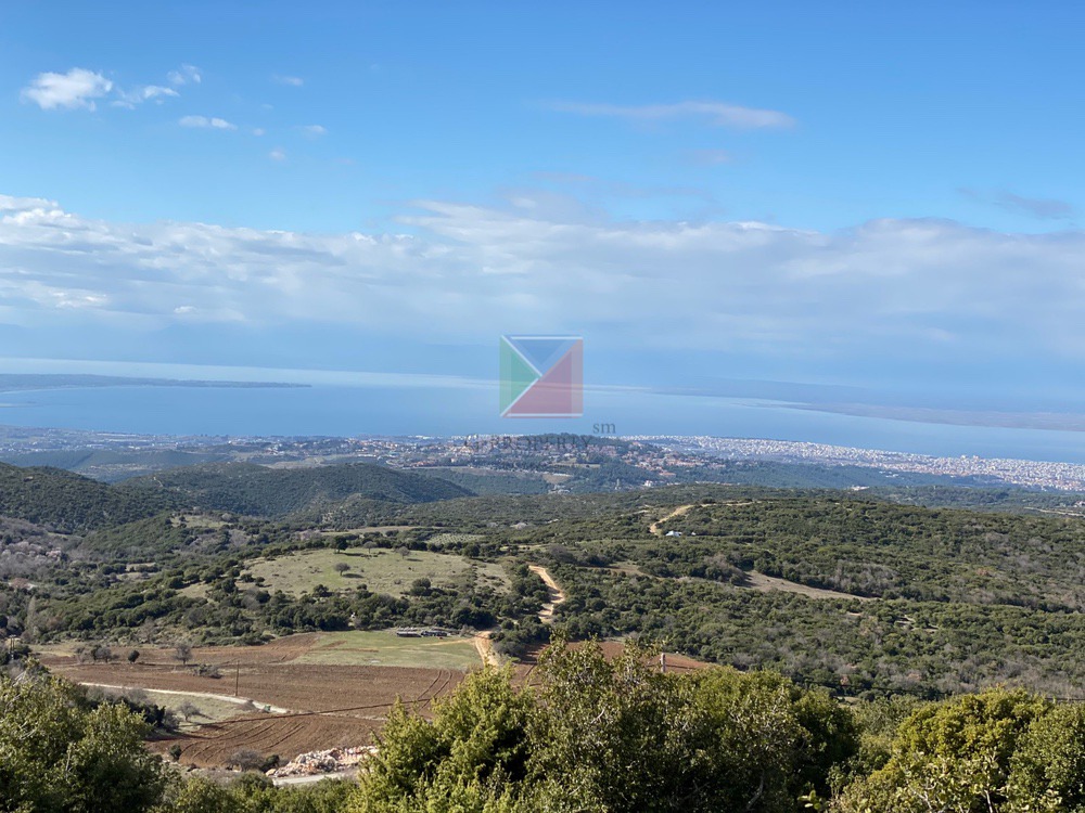 WhatsApp Image 2025-12-23 at 12.57.46 (4)