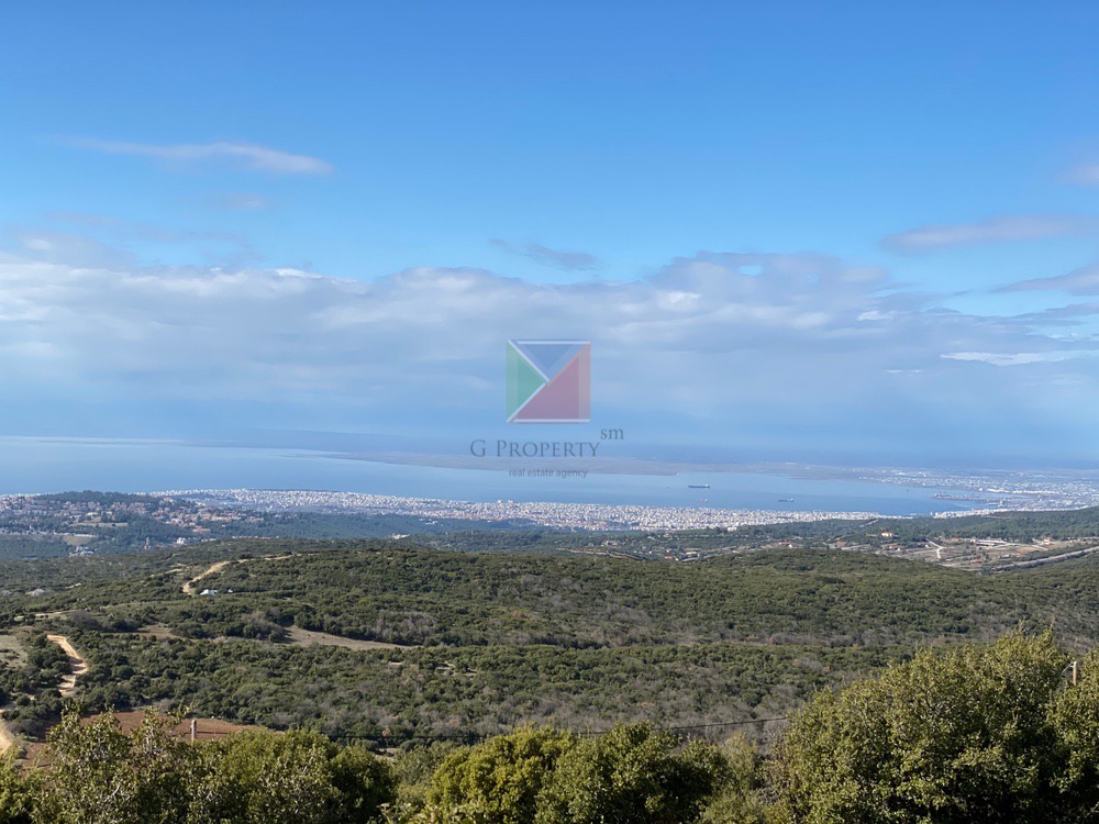 WhatsApp Image 2025-12-23 at 12.57.46 (5)