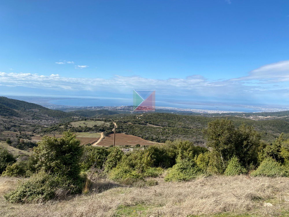 WhatsApp Image 2025-12-23 at 12.57.46