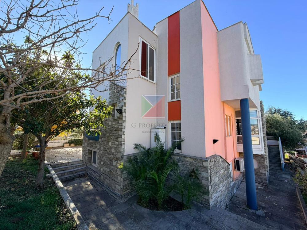 WhatsApp Image 2025-11-24 at 14.53.07