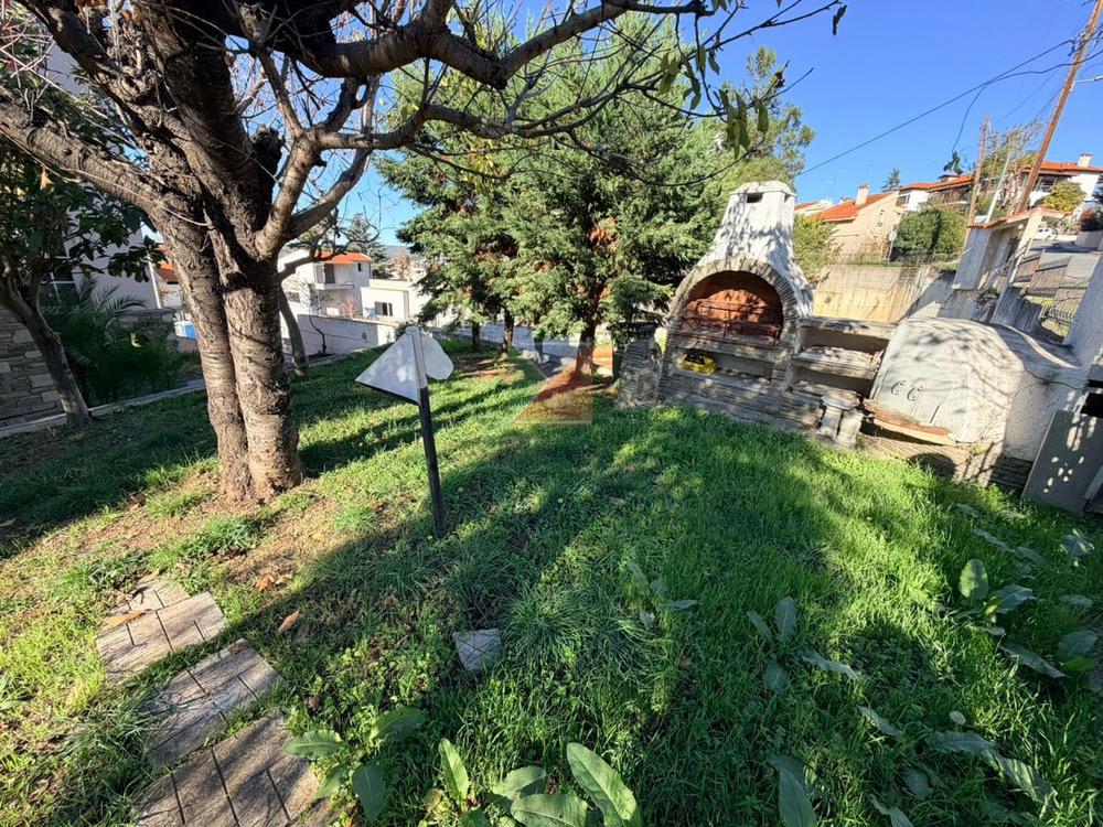 WhatsApp Image 2025-11-24 at 14.53.08