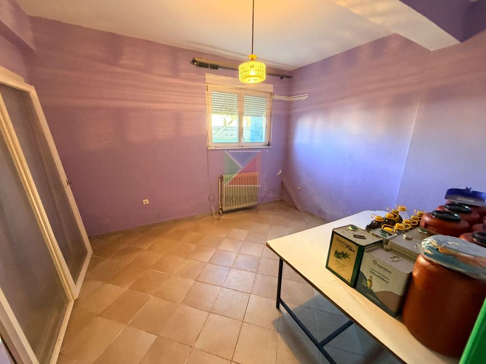 WhatsApp Image 2025-11-24 at 14.53.11 (3)