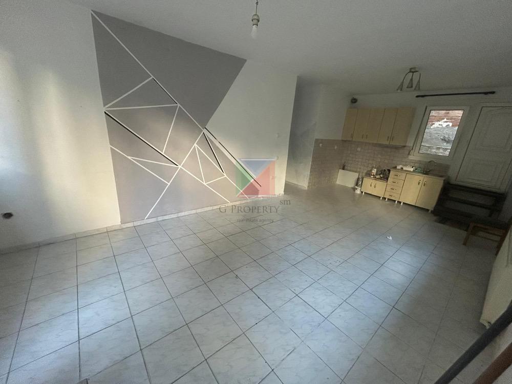 WhatsApp Image 2026-02-19 at 10.56.39 (1)